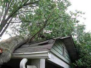 tree damaged home